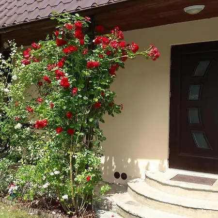 Dom Wakacyjny Tatil Evi Rowy (Pomerania)