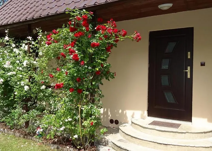 Dom Wakacyjny 度假居 罗威